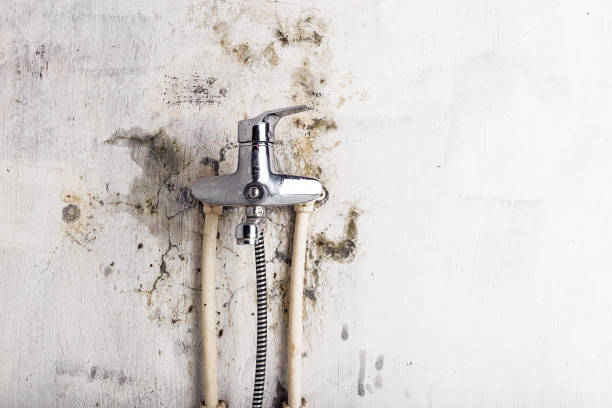 Best Mold Testing  in Cheney, KS