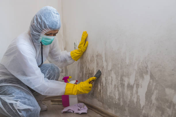 Crawl Space Mold Removal in Cheney, KS