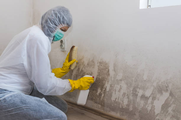 Best Mold Testing  in Cheney, KS