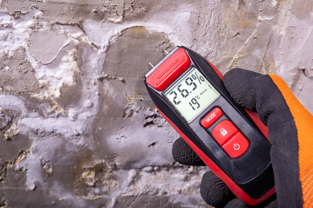 Best Mold Damage Repair  in Cheney, KS