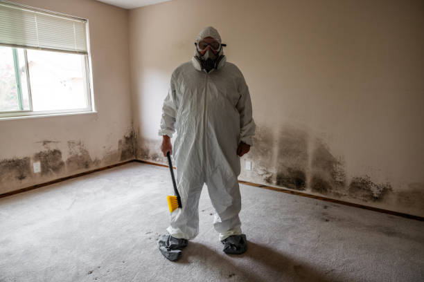 Best Professional Mold Removal  in Cheney, KS